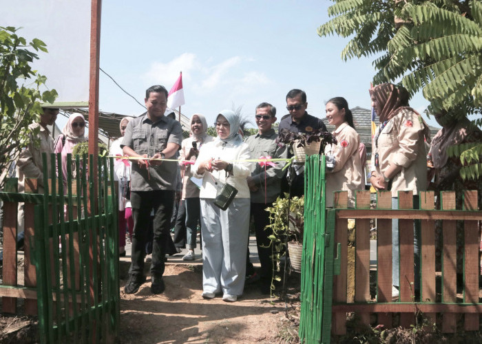 Cukup dengan HP, Bisa Siram Tanaman Cabai: Inovasi Himatektan UNJA di Penyengat Rendah