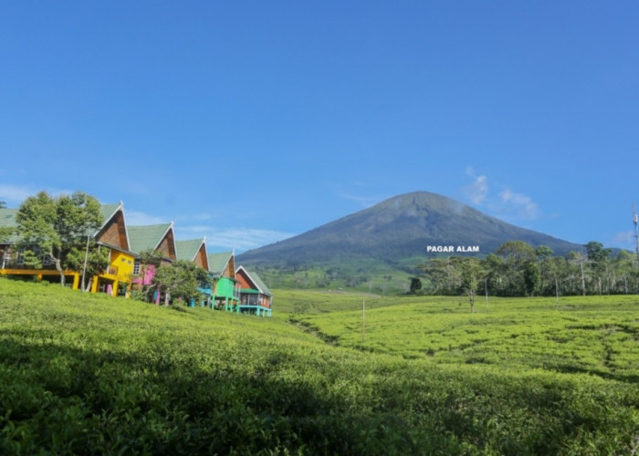 Pendaki Gunung Dempo Asal Bengkulu Tewas, Ini Penyebabnya