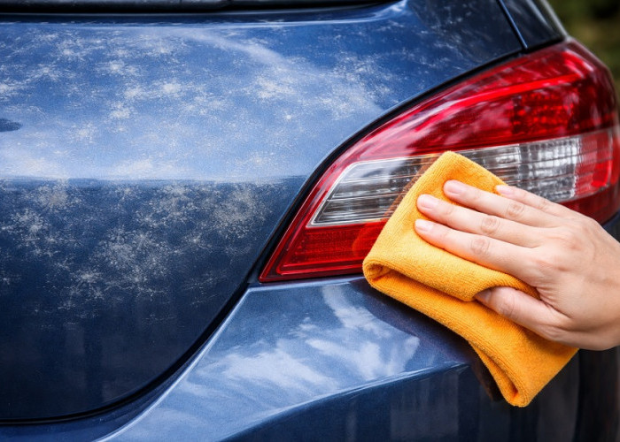 Cat Mobil Berjamur? Ini Cara Efektif Membersihkannya Tanpa ke Salon