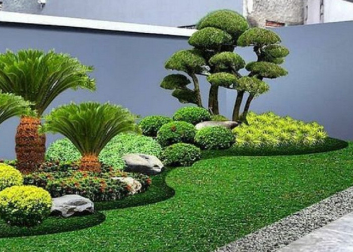 Rumah Minimalis Makin Estetik: Cara Kreatif Bikin Taman Hijau di Area Sempit 