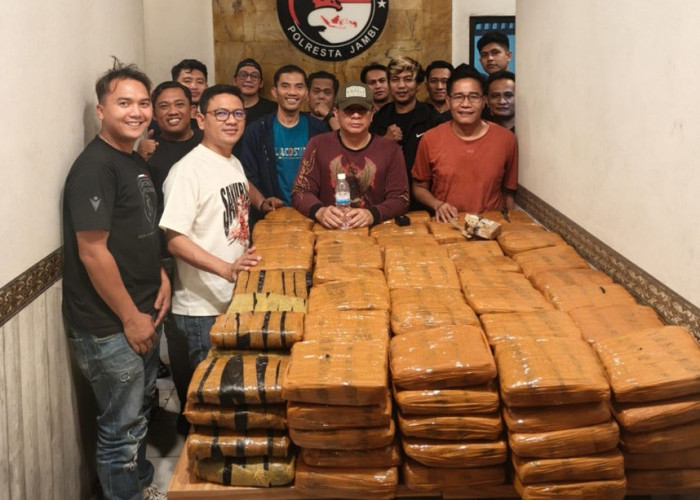 Wow! Satresnarkoba Polresta Jambi Amankan 200 Kilogram Ganja di Simpang Rimbo