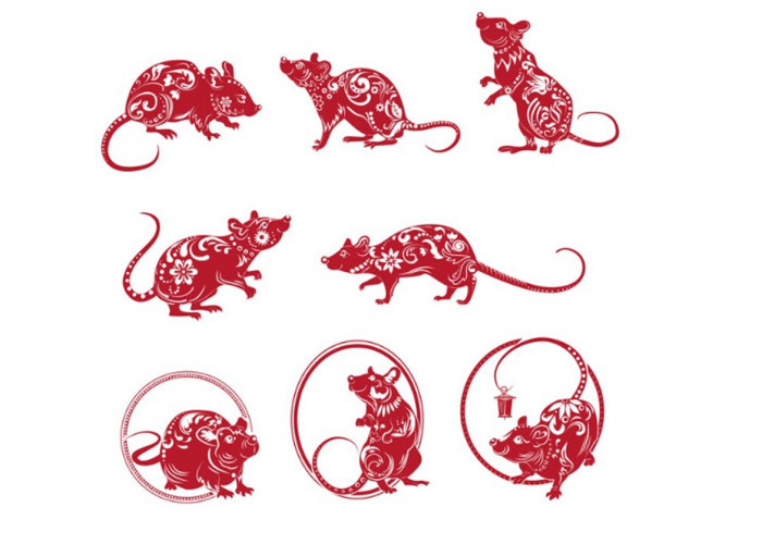 Ulet dan Cerdas, Ini Karakter Shio Tikus Menurut Astrologi Tionghoa