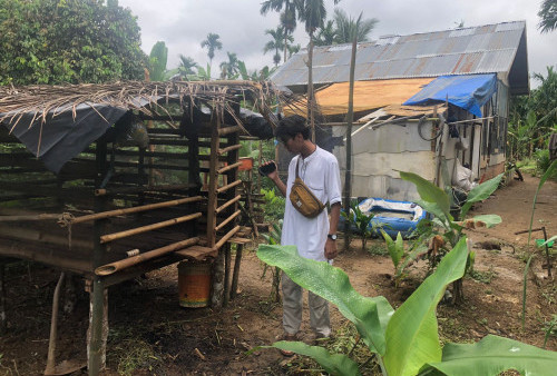 Tak Hanya Dicuri, Kambing di Talang Babat Juga Dipotong si Pelaku