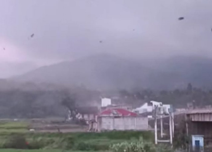 Angin Puting Beliung Mengamuk di Kerinci, 30 Rumah Rusak! Atap Warga Terbang dan Pohon Bertumbangan