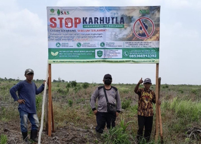 Selamatkan Hutan Gambut Londerang dari Karhutla PT SAS Perbanyak Embung dan Sekat Kanal