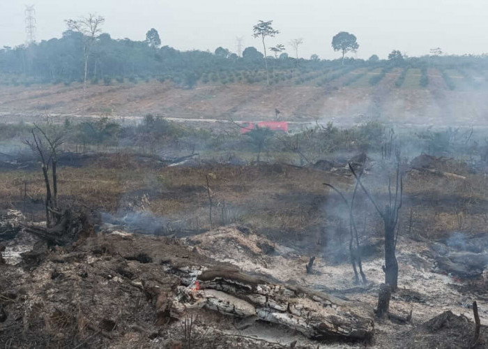 GAWAT.!! Sudah 36 Hektar Lebih Lahan yang Terbakar di Muaro Jambi