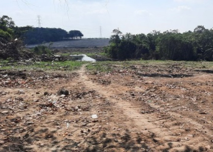 Polemik Pembangunan Stockpile Batu Bara oleh PT SAS, Satpol PP Kota Jambi Periksa Beberapa Saksi