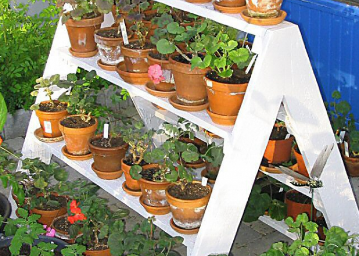 Gak Pake Ribet! 11 Desain Taman Toga Keren Ini Siap Bikin Rumah Auto Asri dengan Bermodalkan Pot Kecil