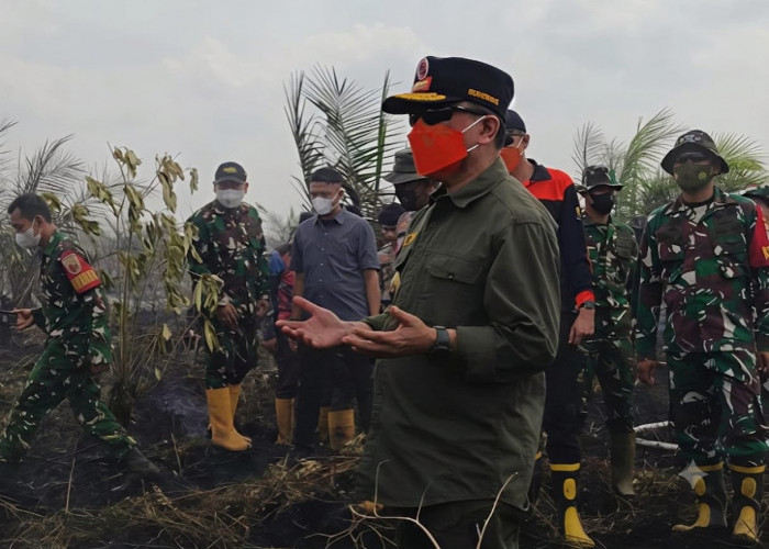 Kemarau Panjang, Gubernur Jambi Al Haris Ajak semua Pihak Salat Istisqa
