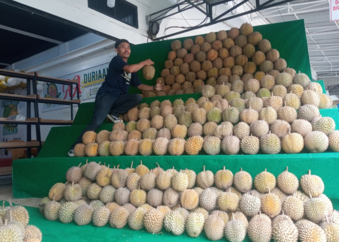 Nikmati Promo Menarik di AA Durian, Sedia Dessert Lezat Olahan Serba Durian