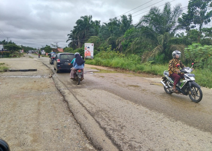 Jalan Lintas Tebo-Rimbo Bujang Rusak Parah, Butuh Perhatian Serius Pemkab Tebo dan DPRD Kabupaten Tebo