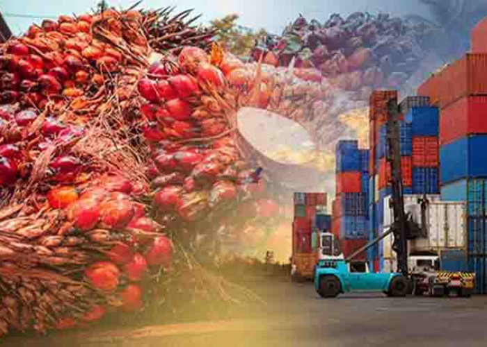 Ini 11 Negara Pemasok Bahan Pangan Terbesar di Dunia, Indonesia Masuk Daftar!