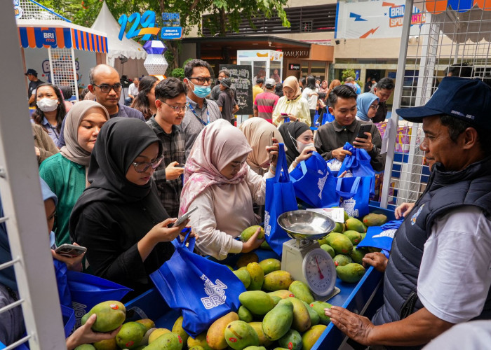 Diberdayakan BRI, Petani Mangga Bondowoso Mampu Perluas Lahan dan Tingkatkan Taraf Hidup