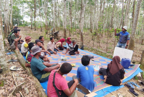 Produktivitas Petani Karet Meningkat Setelah Ikuti Community Partnership Program dari RLU