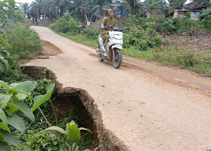 Waduh! Jalan Rantau Ikil Nyaris Amblas, Akses Jambi-Sumbar Terancam Putus Total