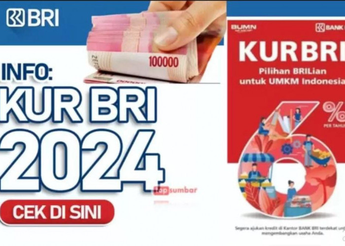 KUR BRI, Jadi 'Pahlawan' Permodalan UMKM 