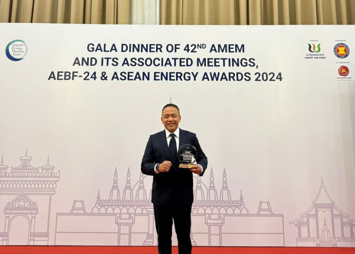 Konsisten Perkuat Pemanfaatan EBT, PalmCo Raih ASEAN Energy Awards 2024