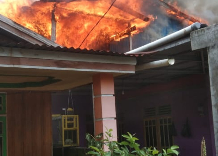 BREAKING NEWS: Si Jago Merah Amuk Pemukiman Warga di Kelurahan Patunas Kualatungkal