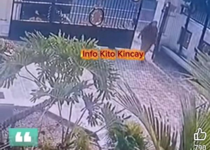 Emas Ludes! Korban Ditinggakan di Terminal Truk Bangko, Nenek di Sungai Penuh Diduga Korban Hipnotis  
