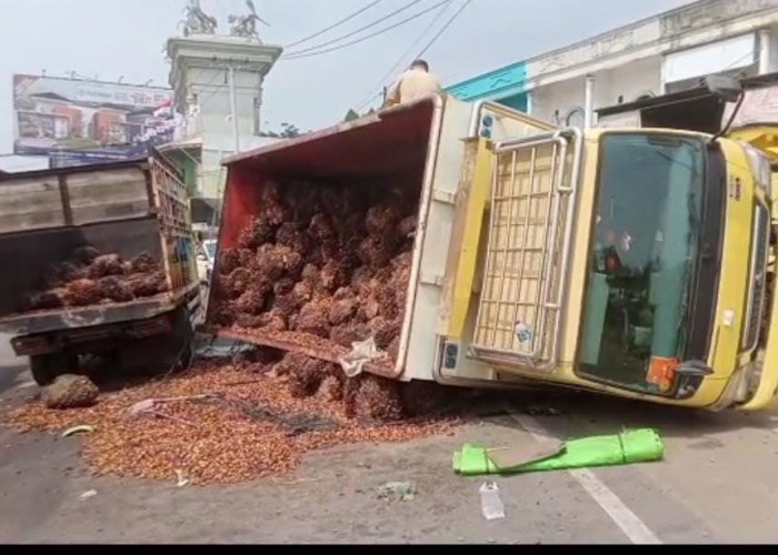 Tabrakan dengan Truk CPO, Truk Sawit Terguling di Mendalo Darat Muaro Jambi Sebabkan Macet Panjang