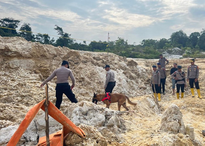Longsor PETI di Sarolangun! Polisi Turunkan Anjing Pelacak untuk Bantu Evakuasi Korban