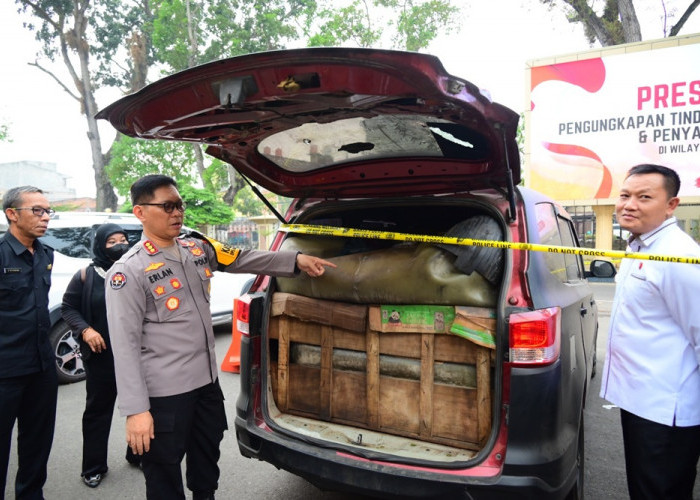 22.800 Liter Minyak dan BBM Diamankan Polda Jambi dalam Sepekan, 8 Orang Jadi Tersangka