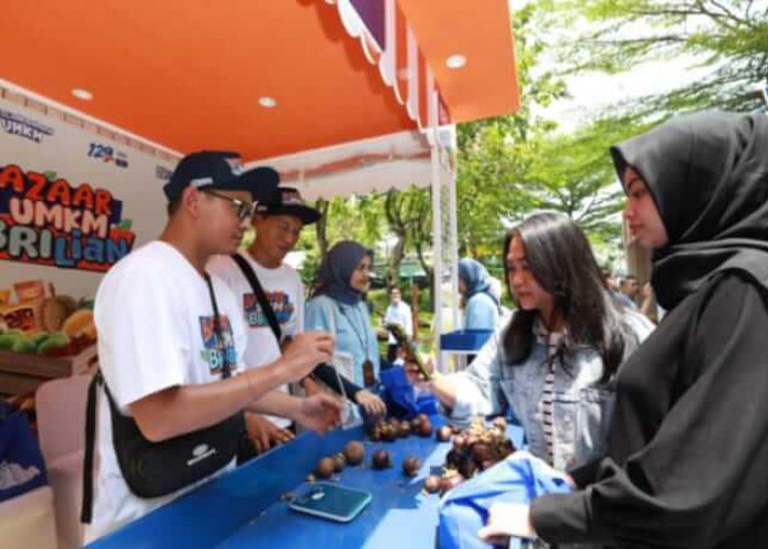 Program Pemberdayaan BRI Dorong Klaster Usaha Manggis di Bali Perluas Jaringan Pemasaran 