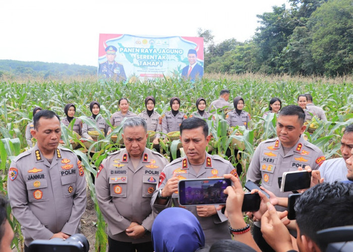 Panen Jagung Perdana di Muaro Jambi, Kapolda Jambi Sebut Bakal Panen 200 Hektar