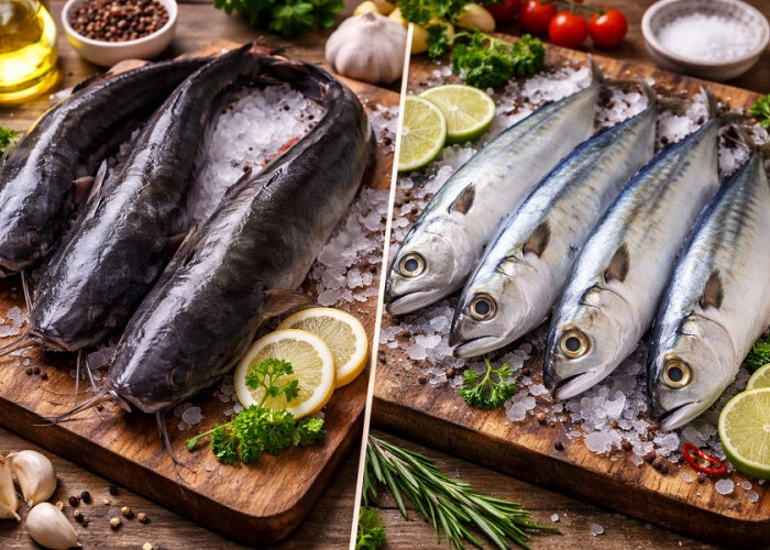 Ikan Lele vs Ikan Kembung, Mana yang Lebih Sehat untuk Menu Harian?