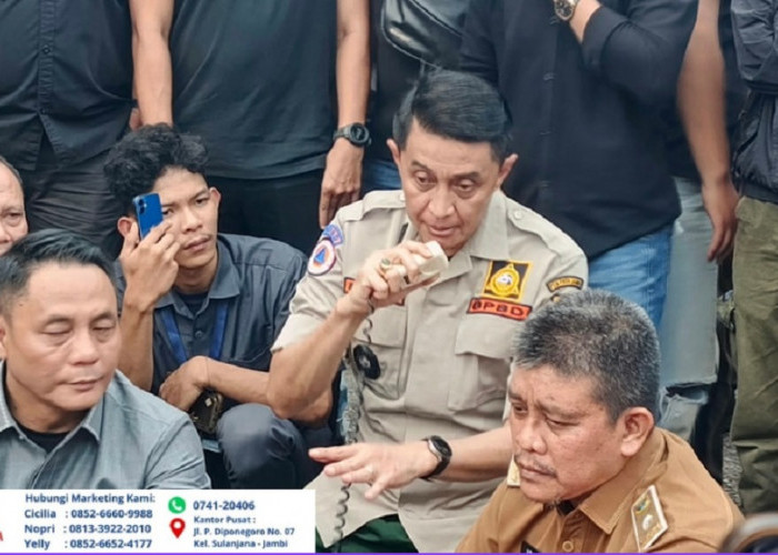 Api Belum Padam, 81 Pos Terpadu Disiapkan untuk Tangani Karhutla Jambi