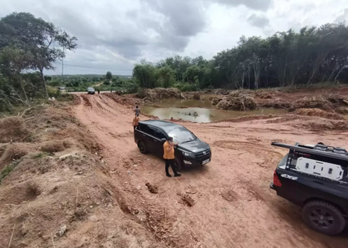 Tambang Liar Digerebek! 7 Orang Diciduk, 5 Alat Berat Disita