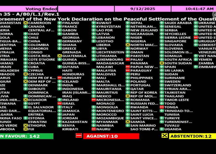 Dulu Menolak, Kini Negara-Negara Ini Resmi Akui Palestina