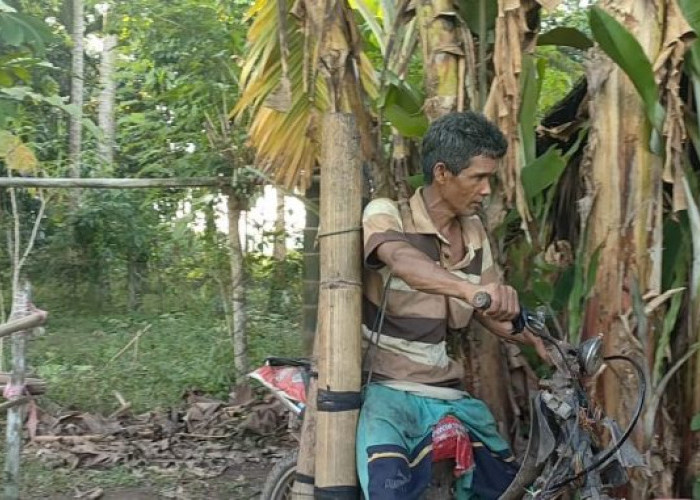 Kesulitan Memproses Gula Aren, Petani  di Bungo Berharap Bantuan Alat dari Pemda