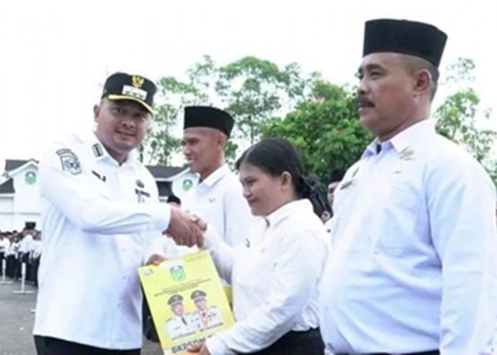 Nasib PPPK Paruh Waktu di Tebo Belum Aman! Bupati Agus Rubiyanto Ungkap Faktor Penentunya