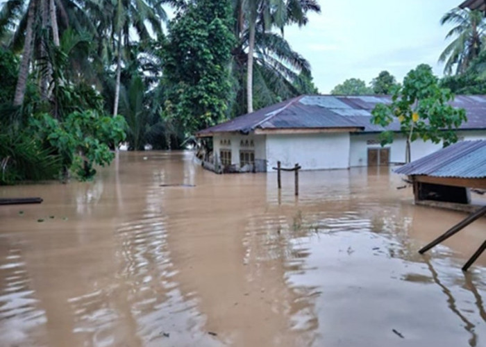 Banjir Mendadak Rendam Sarolangun! Air Nyaris 1 Meter, Warga Limbur Tembesi Mulai Cemas