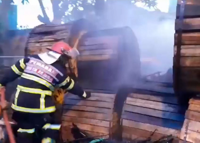 Heboh! Gudang Kabel di Jambi Timur Terbakar, Damkar Tiba dan Berhasil Jinakkan Api