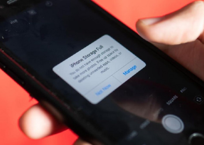 HP Lemot karena WhatsApp? Ini Cara Simpel Biar Memori Kembali Lega
