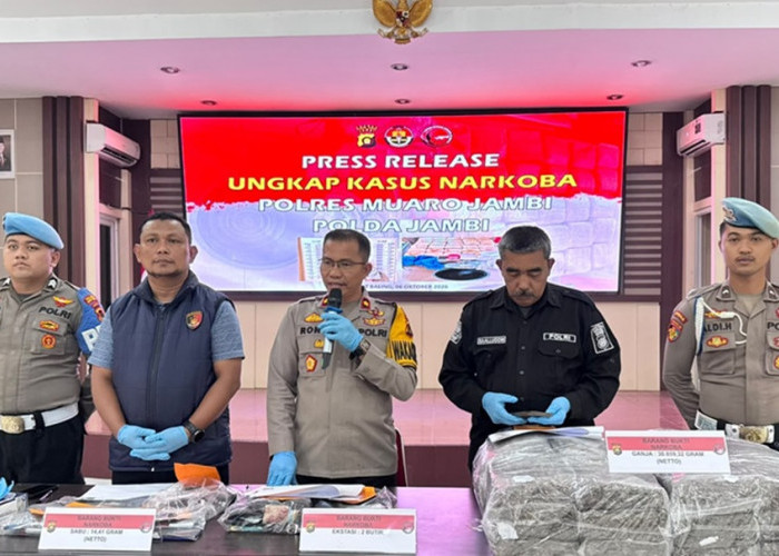 September 2026, Polres Muaro Jambi Ungkap 11 Kasus Narkoba! 30,8 Kg Ganja Jadi Barang Bukti Terbesar