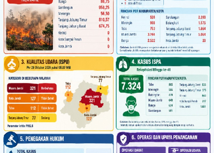 Wih! Seluas 5.106,29 Hektare Lahan di Jambi Terbakar, Kabupaten Batang Hari Terluas
