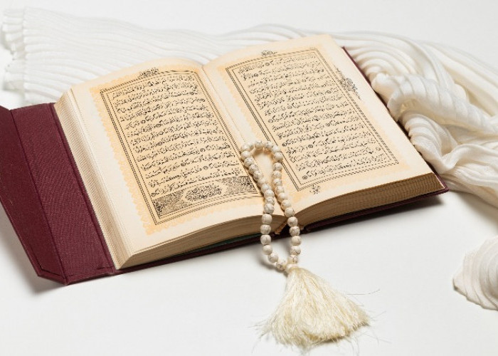 Penyelam Prancis Masuk Islam, Setelah Temukan Kebenaran Surat Ar Rahman, Masya Allah!