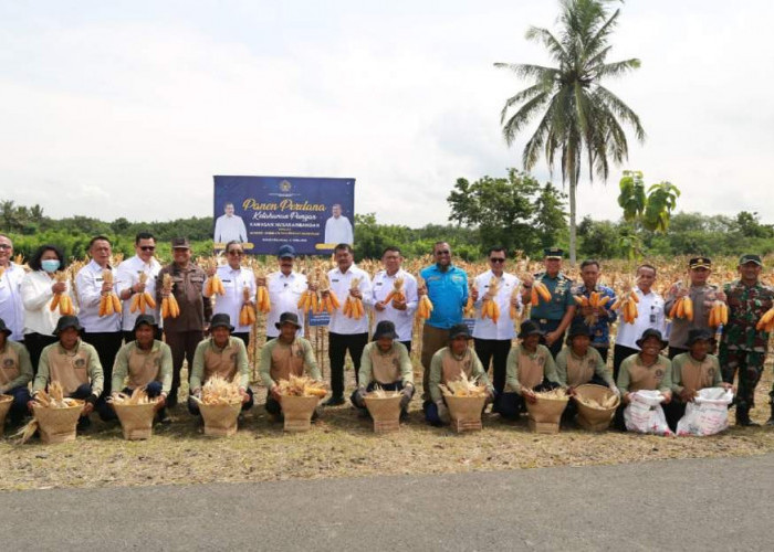 Nusakambangan Panen Perdana, Bangun Lumbung Ketahanan Pangan Dan Beri Kesempatan Warga Binaan