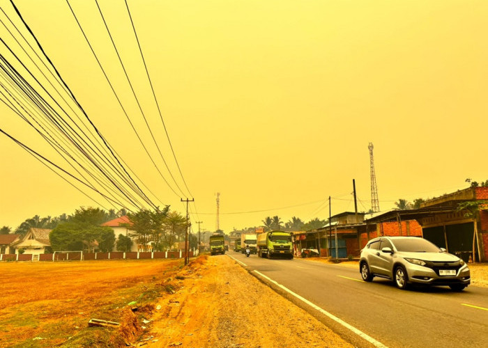 Kabut Asap Makin Pekat di Muaro Jambi, PM2.5 Sempat Menyentuh Angka 325
