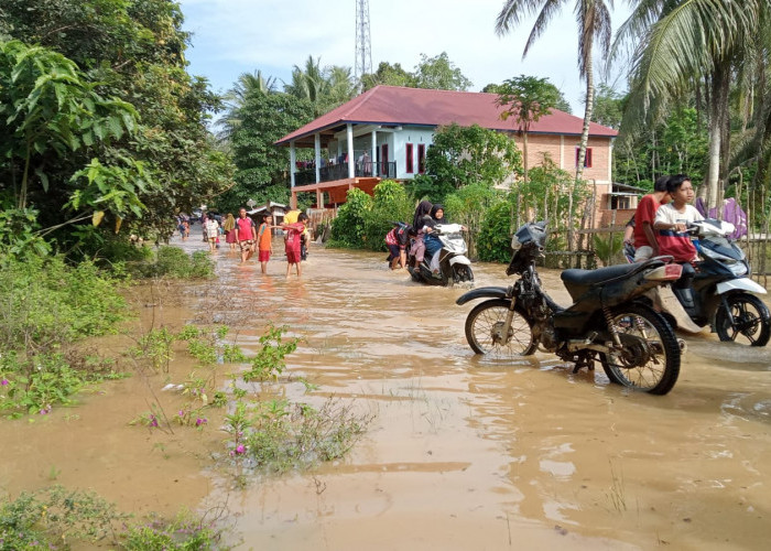 Curah Hujan Tinggi, Jalan Kecamatan Jujuhan, Kabupaten Bungo Terendam Banjir 