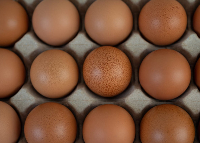 Ini Dia Menu Olahan Telur, Resep Telur Petis Khas Jawa Timur