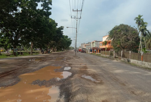 Pengendara Keluhkan Tiang Listrik Makan Badan Jalan di Rantau Rasau, Begini Respon Dinas PUPR 