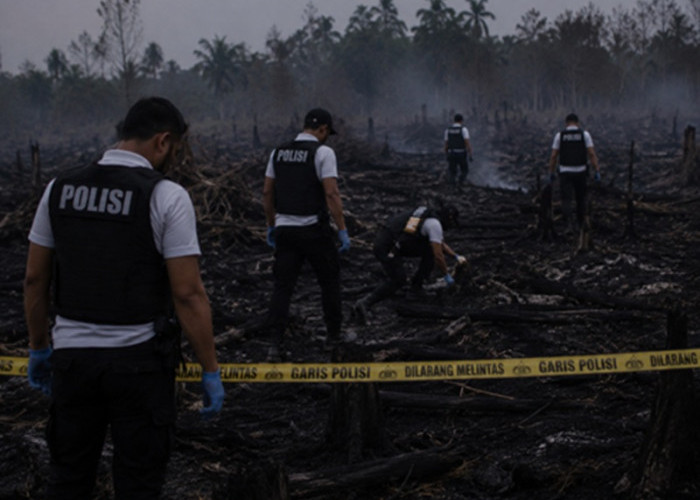 Lahan 3 Hektare Terbakar di Jaluko, Polisi Buru Pemilik Lahan dan Dalami Penyebab Karhutla