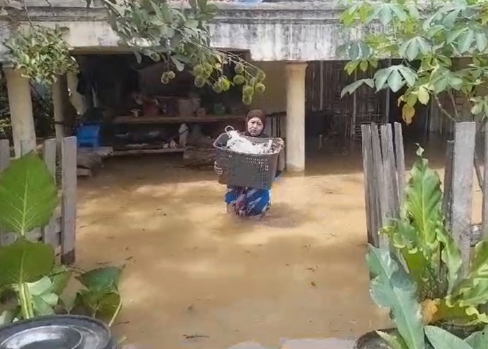 Banjir Landa Kecamatan Pauh di Sarolangun, Ribuan Rumah Terendam
