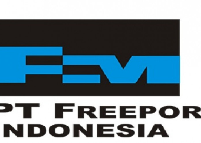 Lowongan Pekerjaan di PT Freeport Indonesia, Ada 10 Posisi Penting yang Dibutukan, Ini Syarat dan Ketentuannya
