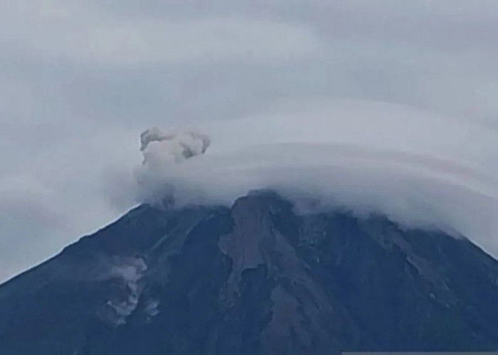 Gunung Semeru Erupsi Delapan Kali, Kolom Abu Capai 800 Meter di Atas Puncak
