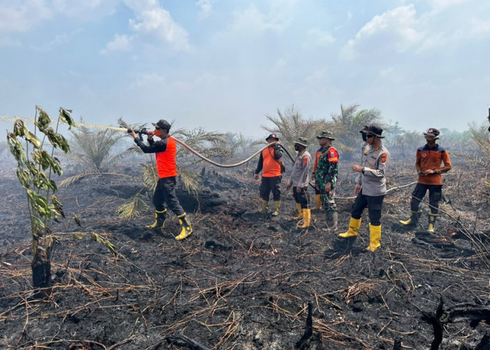Karhutla di Area Koperasi Multi Usaha Mandiri di Muaro Jambi Capai 50 Hektare, Polisi Lakukan Penyelidikan